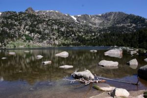 Estany de Malniu