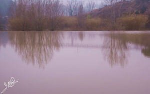 Piscina-natural