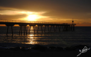 Pont del petroli