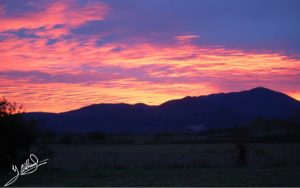 Montseny en flames